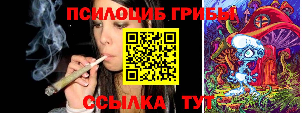Кунгур  Псилоцибиновые грибы Cubensis  Вход с VPN 