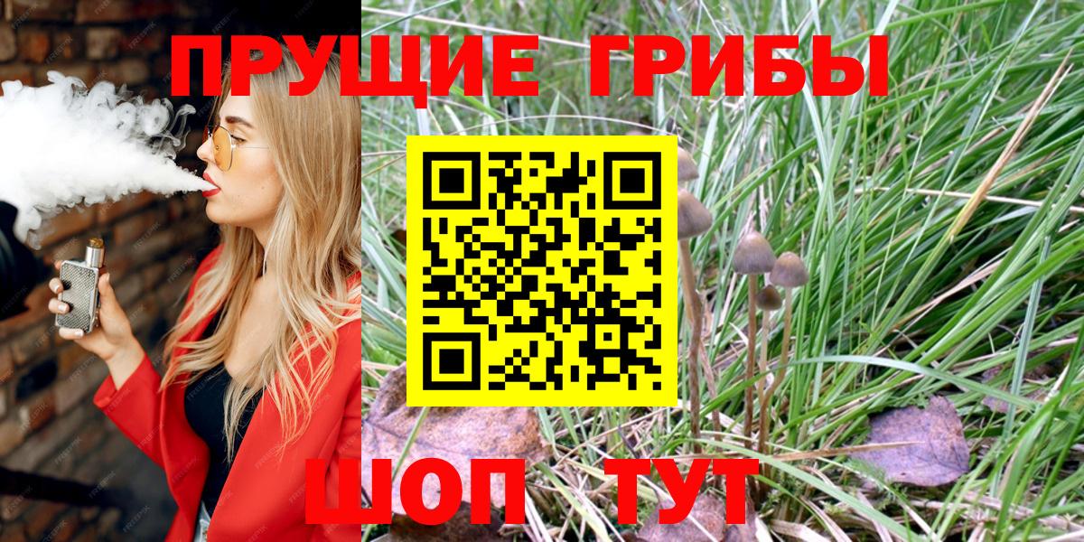 Галлюциногенные грибы Cubensis Кунгур
